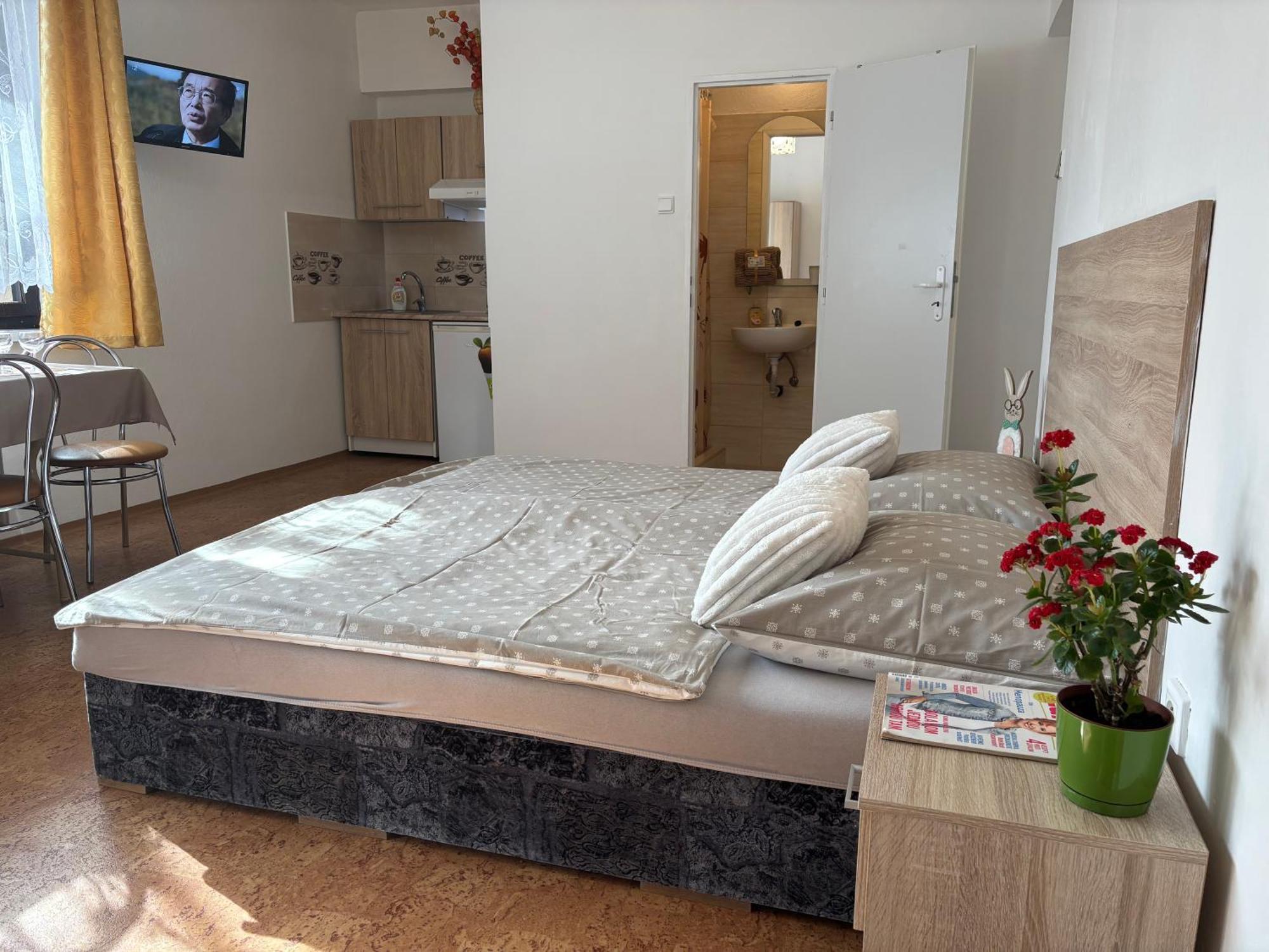 Apartmanovy dom Grand Sturovo Exterior foto